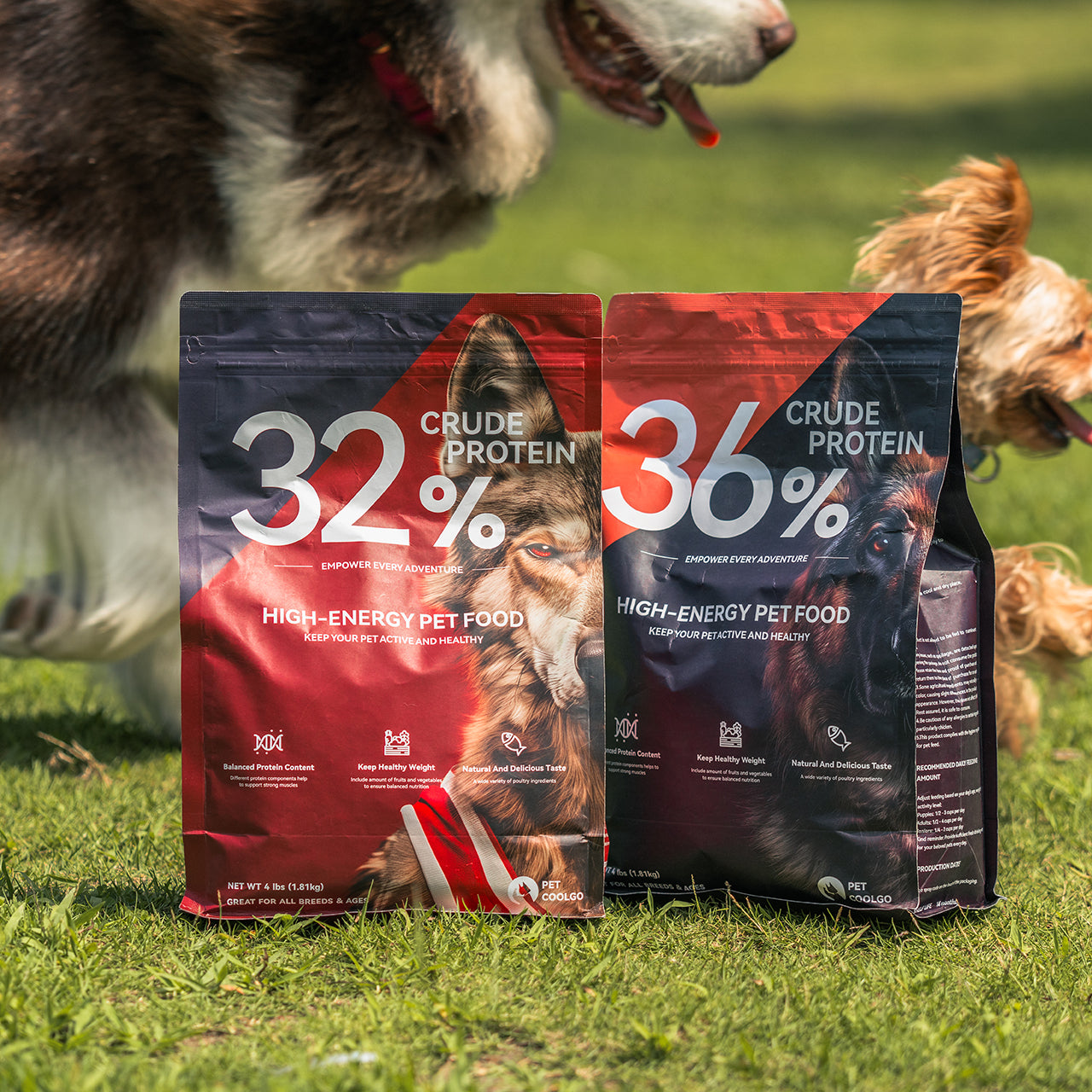 Dog food bags: 32% & 36% crude protein, high-energy. Dogs playing in background.
